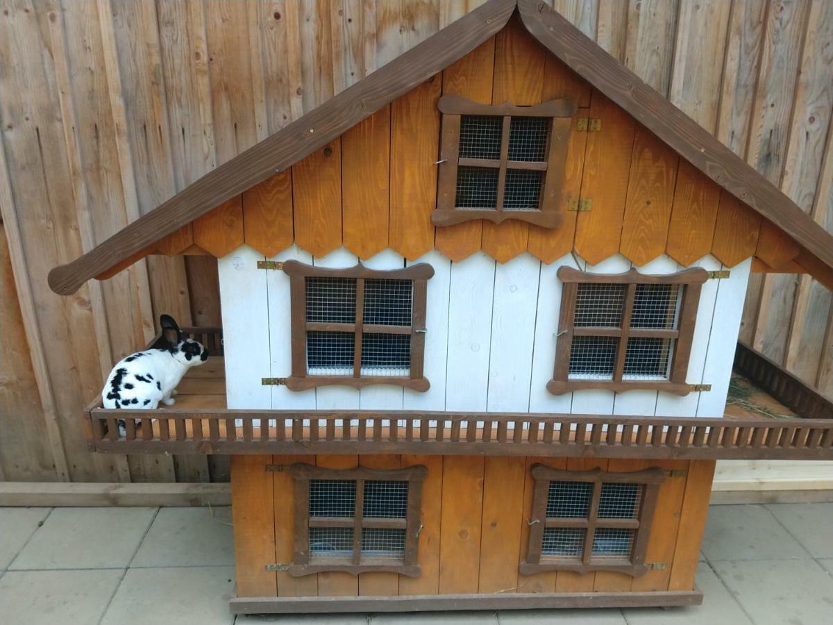 Pezion Limbovy Dvor 2*