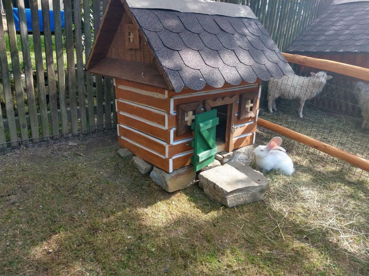 Pezion Limbovy Dvor Vrbov